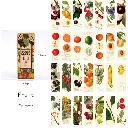 بوكس فواصل ورقية